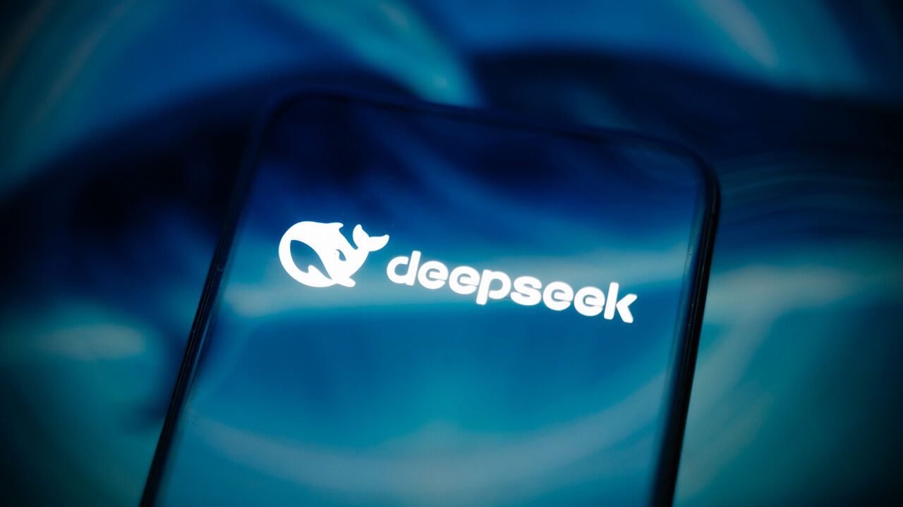 A smartphone screen displaying the DeepSeek logo