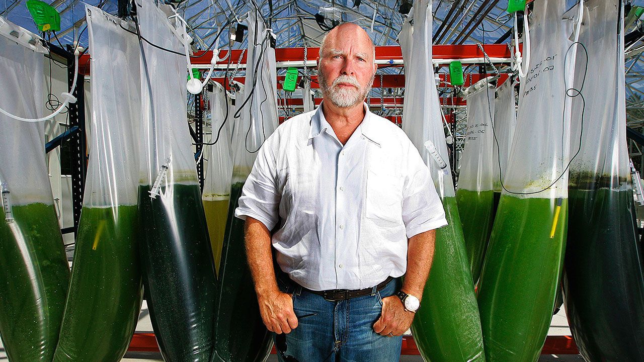 Craig Venter in a new greenhouse at his company, Synthetic Genomics, in La Jolla, California, in July 2010