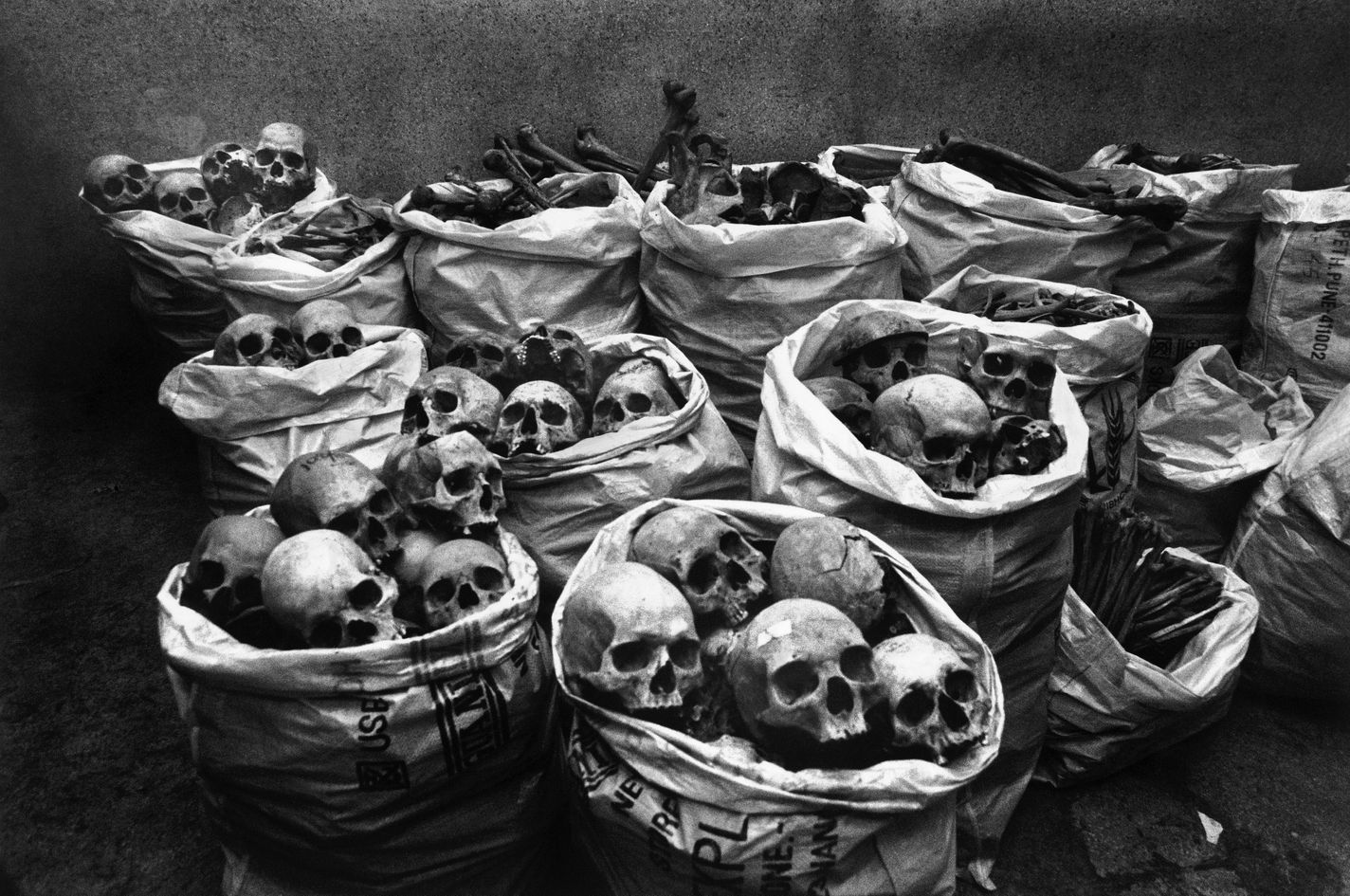 India. Bhopal. 2001. Skulls discarded after research at the Hamida Hospital