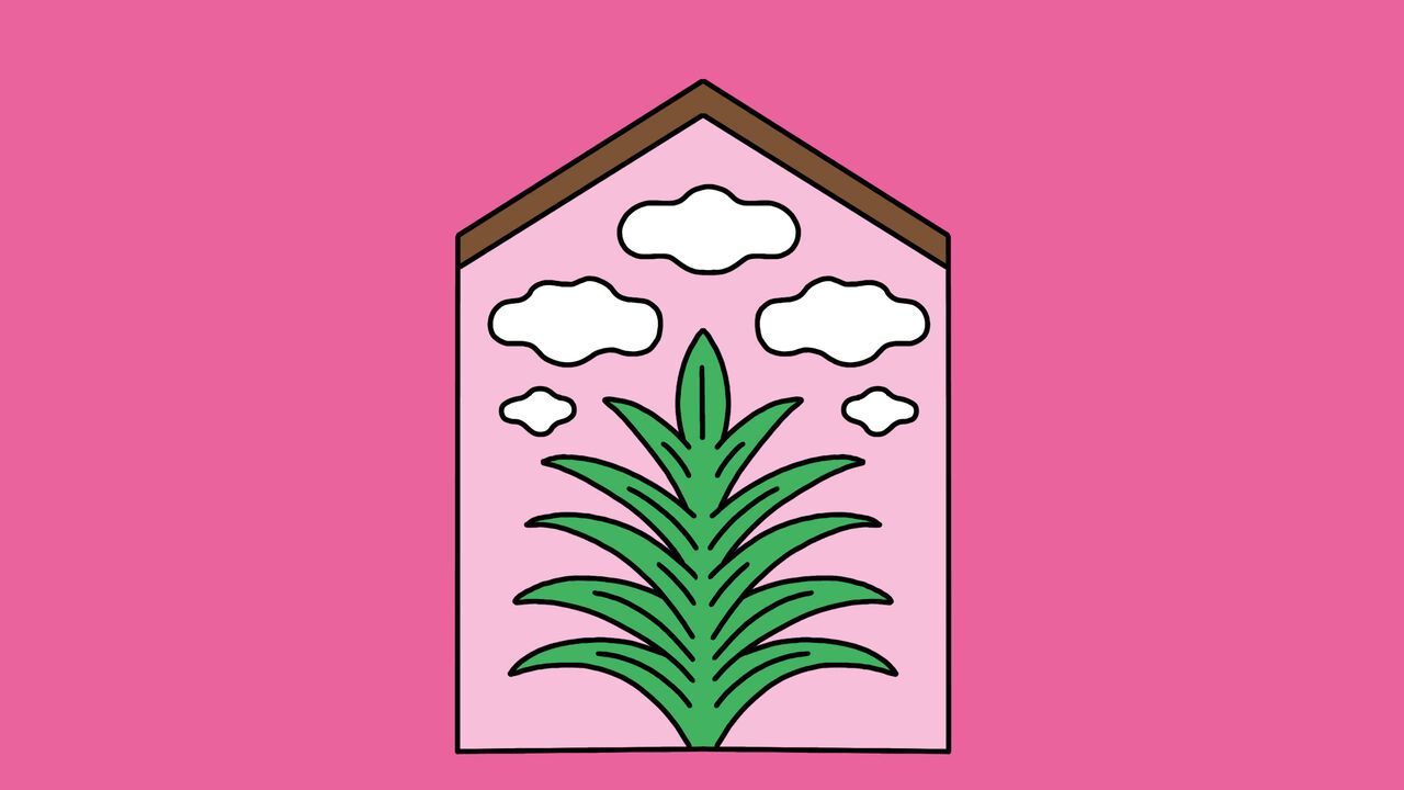 Illustration of a house silhouette with a big plant and clouds inside