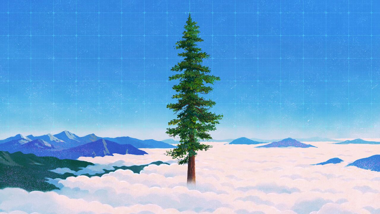 A lone evergreen tree rises above a sea of clouds beneath a clear blue sky