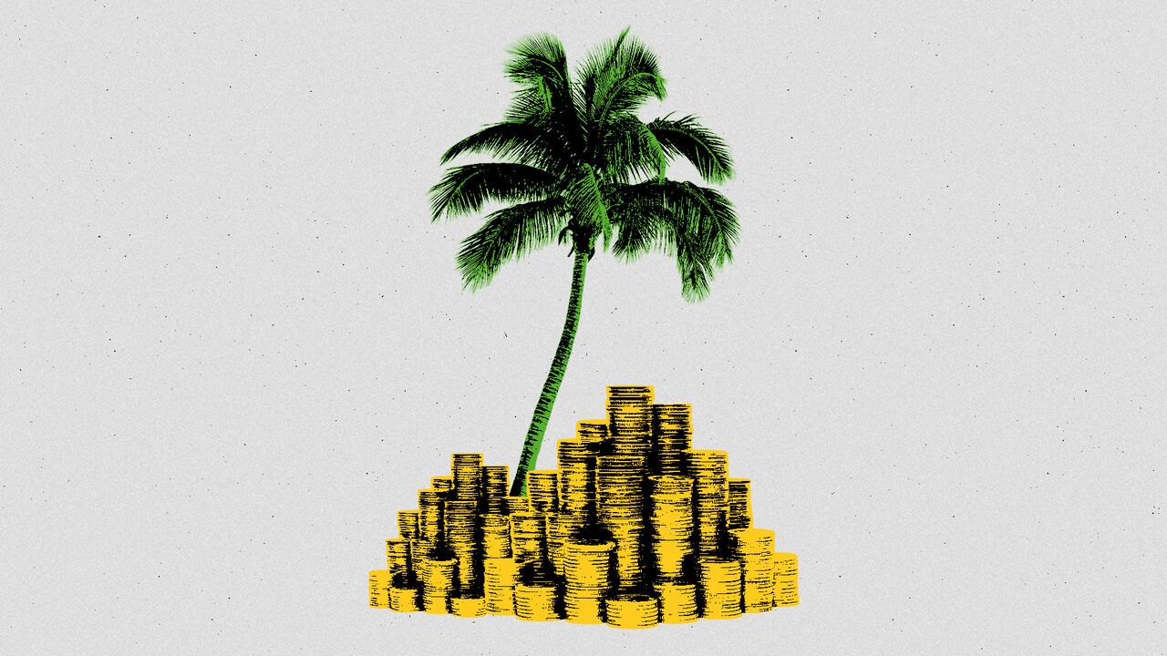 Palm tree on a beach island of coins