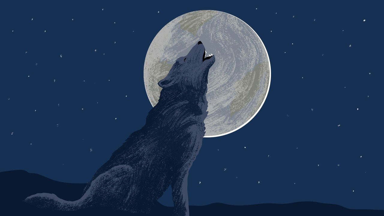 Illustration of a wolf howling at the moon