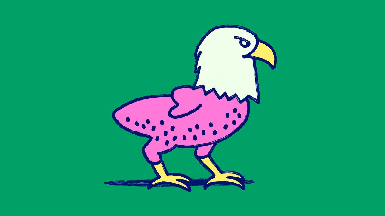 illustration of an eagle with a bald pink body, standing on yellow bird legs against a green background