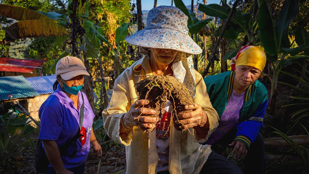 Farmers harvest purple yams from the side of the mountain on February 13, 2026 in the village of Bayabas, Sablan, Philippines.