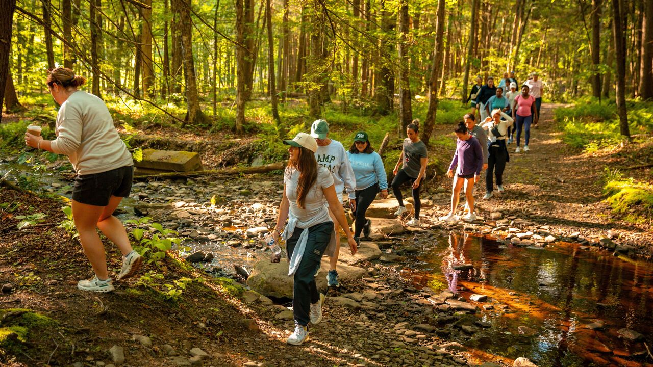People walk through the woods while attending Camp Social
