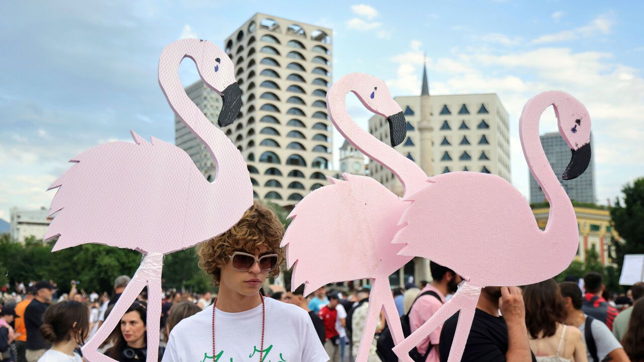Protesters hold pink flamingo cutouts during a demonstration opposing a luxury coastal development project linked to Jared Kushner and Ivanka Trump in Albania.