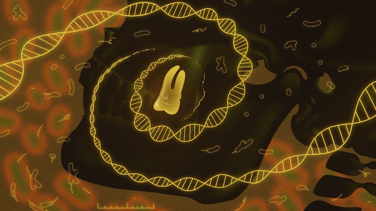 illustration of skull-like silhouette with a glowing tooth at its center. DNA strands radiate outward from the tooth, while subtle bacteria-like shapes hint at ancient plague research