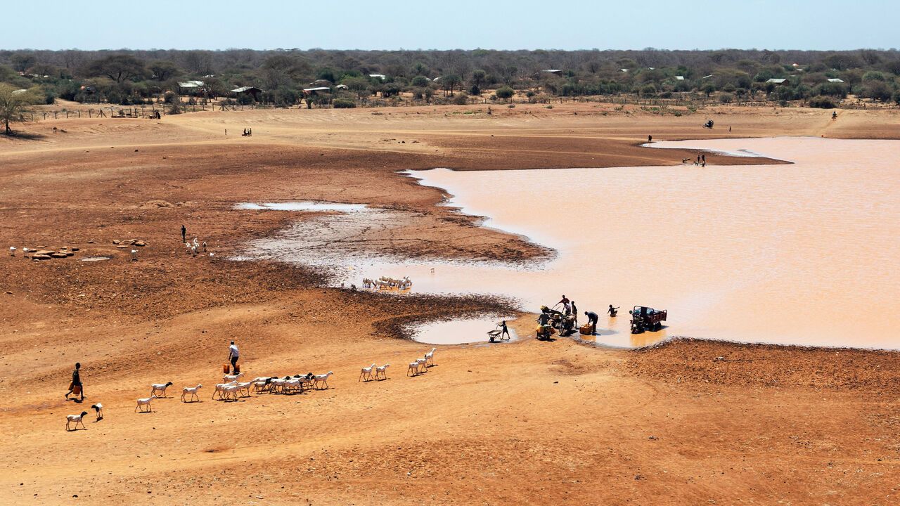 A general view of a drying water pan, the only remaining source of water for residents and their livestock in Lulis village near Banissa, drought-hit northeastern Kenya.