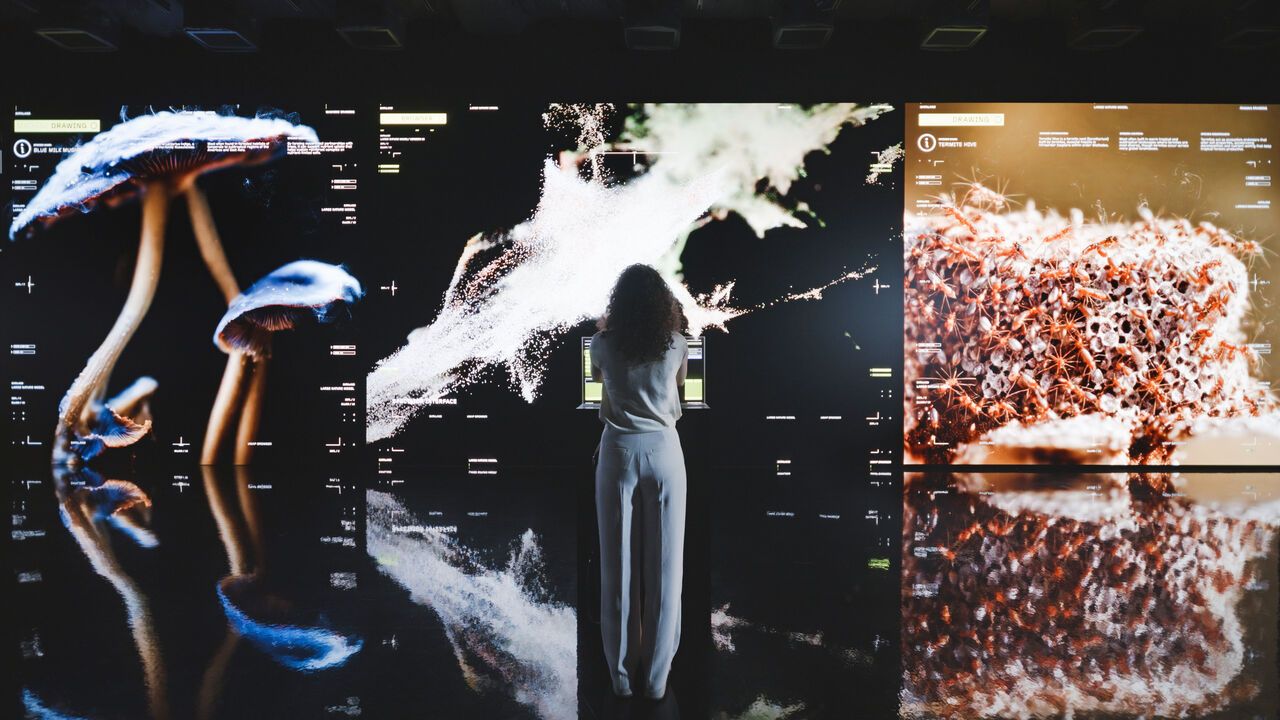 People experiencing Refik Anadol Studio's Dataland, the Museum of AI Arts at The Grand LA in Los Angeles.