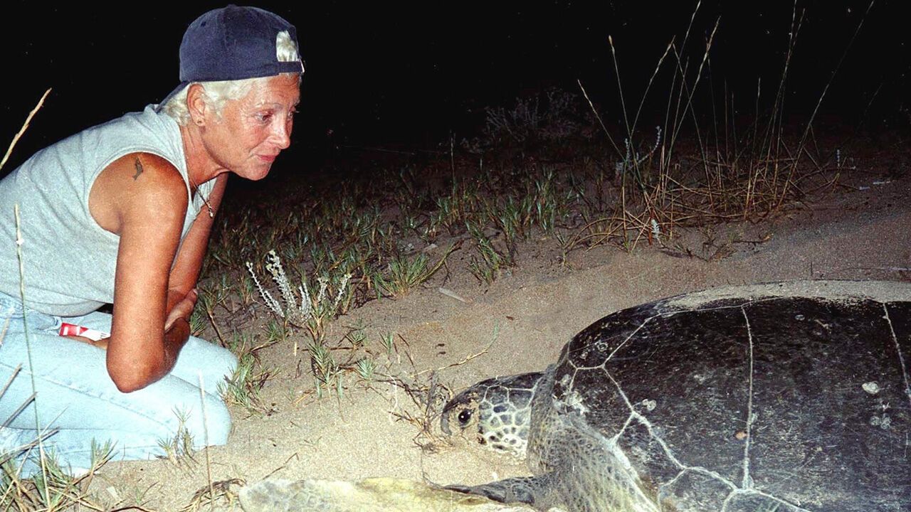 Mona Khalil looks at a turtle on the coast in Tyre, Lebanon in August 2002