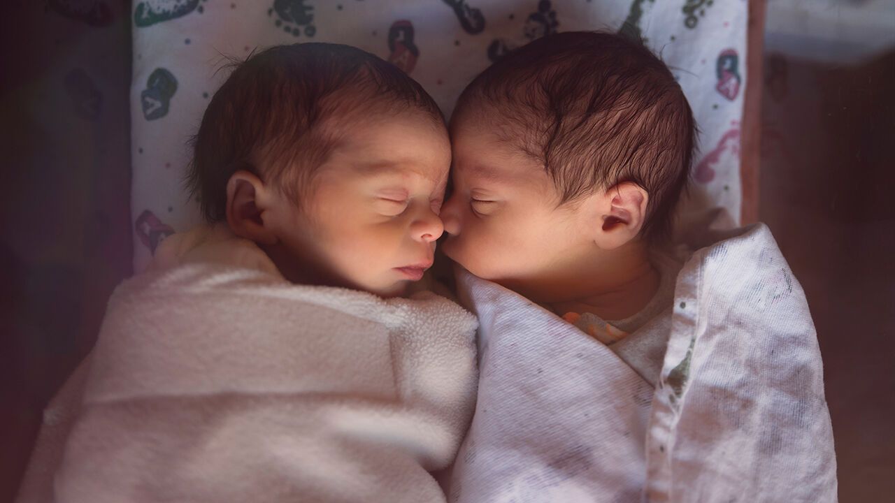 Two newborns.