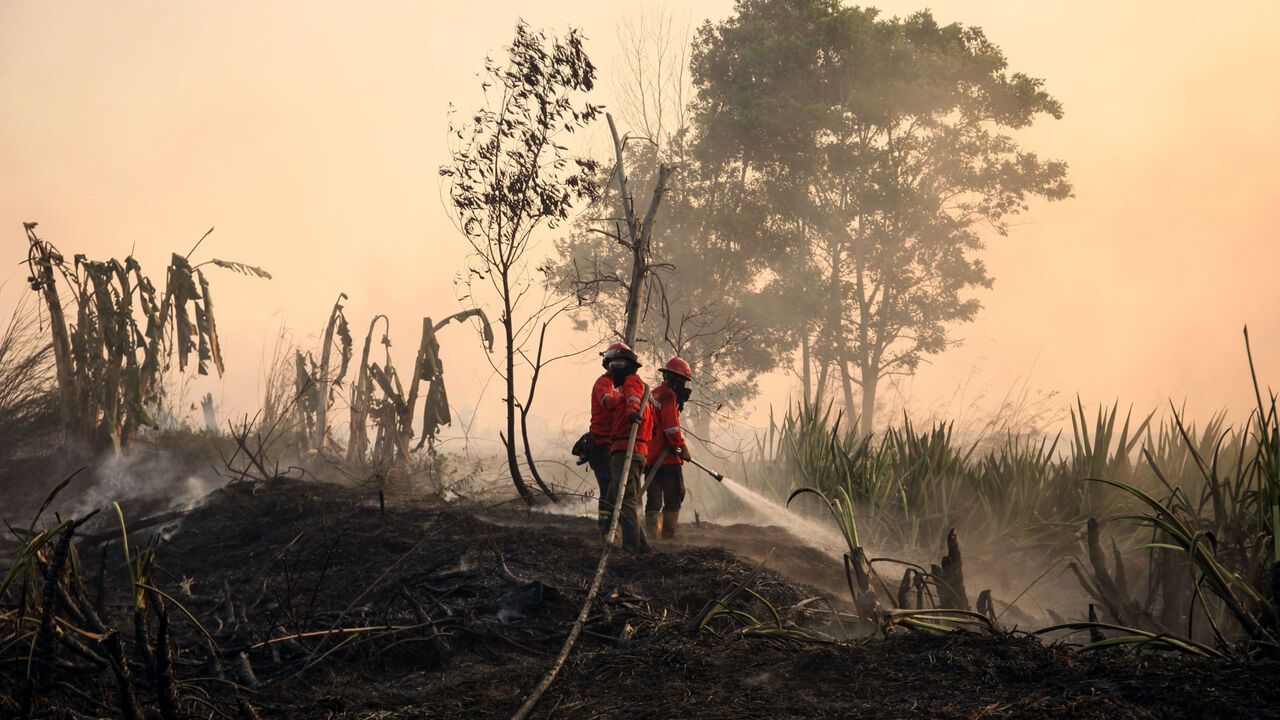 Indonesian firefighters from Manggala Agni work to extinguish a peatland fire in Ogan Ilir, South Sumatra, Indonesia.