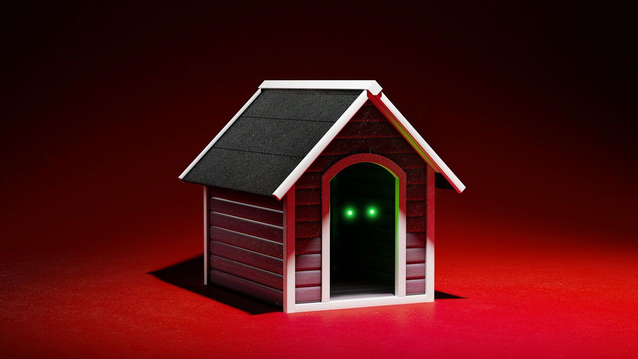 A dog kennel with a pair of green eyes glowing from inside.