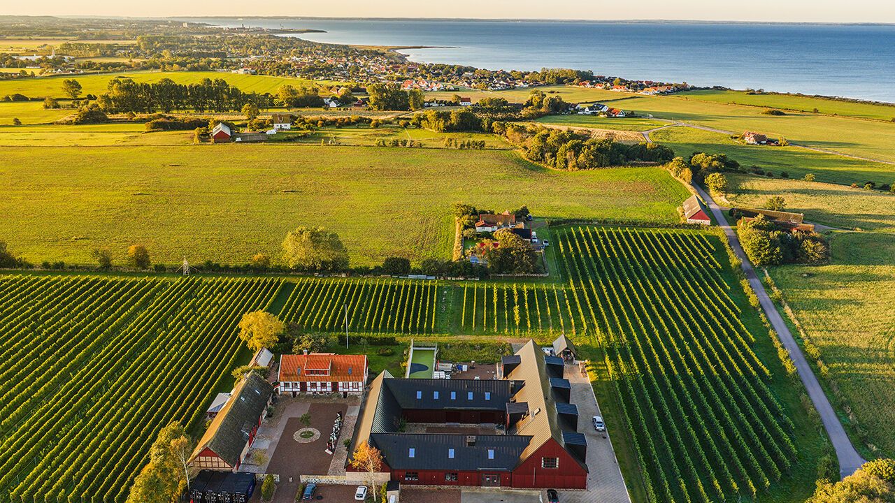 Aerial view of Kullabergs vineyard.