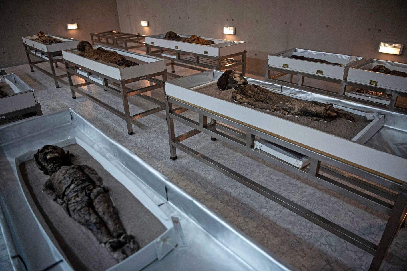 Mummies of the Chinchorro culture are exhibited at the San Miguel de Azapa archaeological museum in Camarones, Arica, Chile