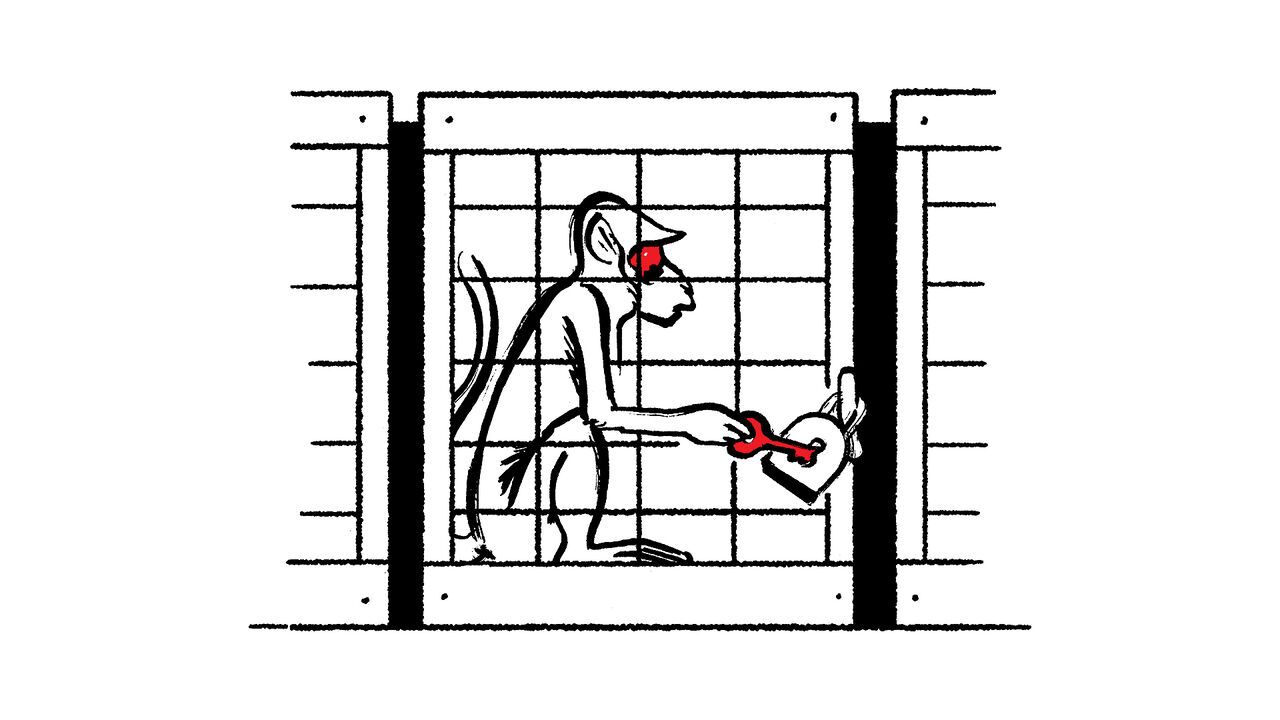 The illustration shows a monkey trapped behind bars, reaching for a red key. It suggests captivity and the desire for freedom or escape.