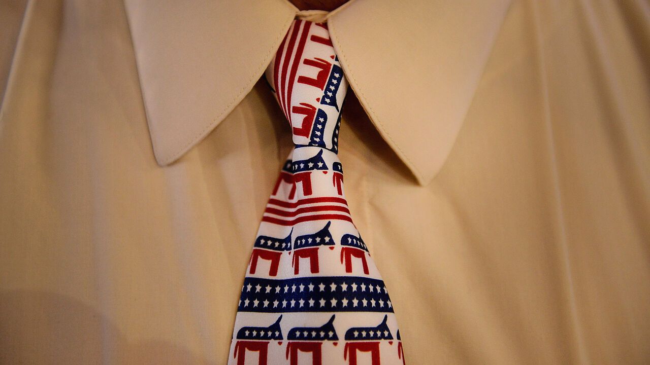 A delegate wears a tie branded with the donkey symbol of the Democratic party.