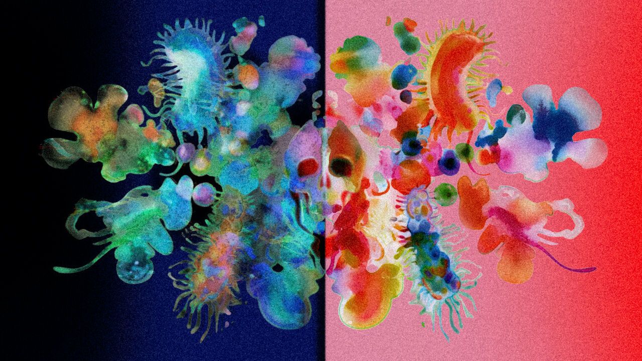 Illustration of bacteria in a rorschach pattern with a light and dark side, there's a skull in the middle