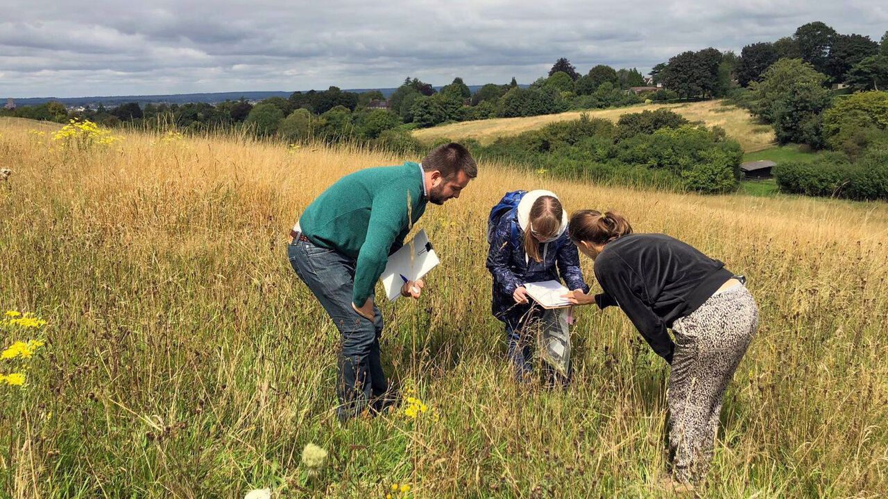 Buglife staff surveying Rosamund Meadow