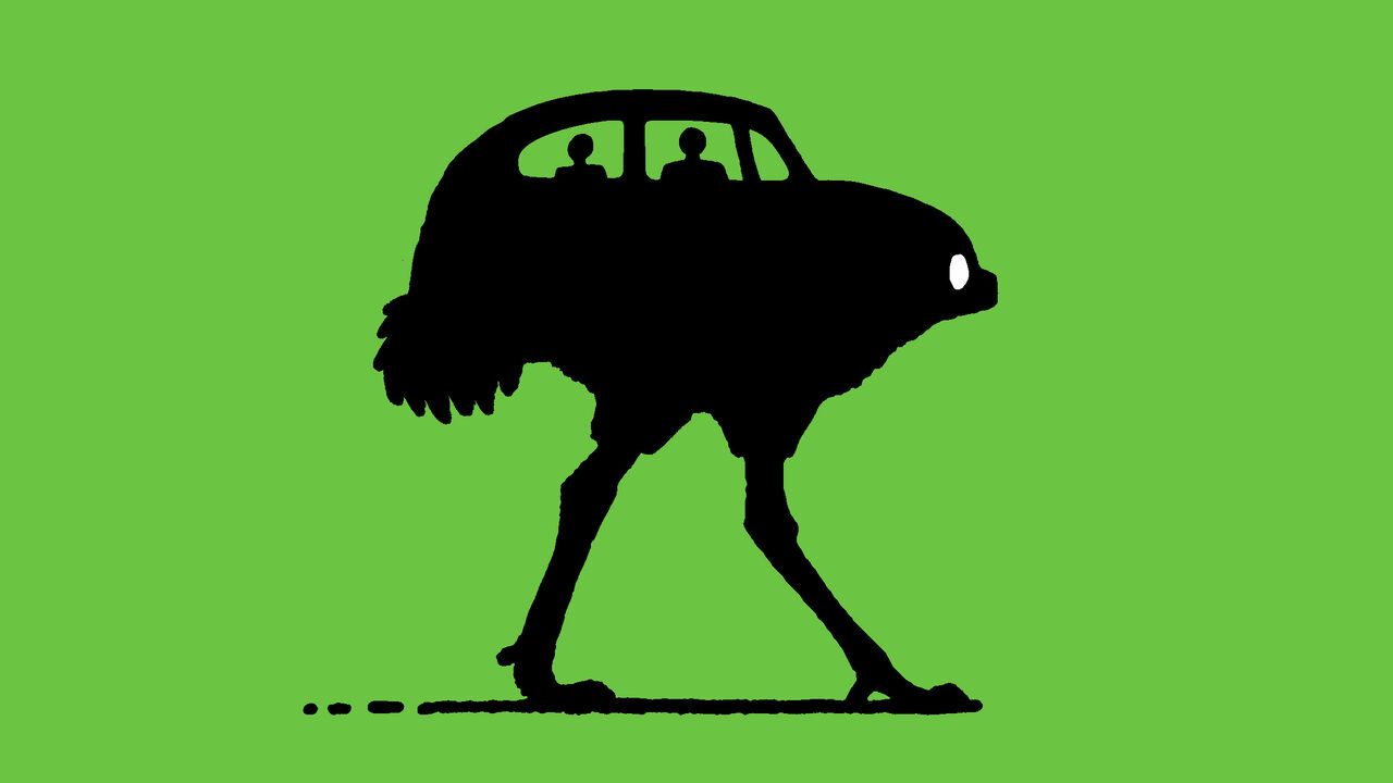 Illustration of a car/ostrich hybrid