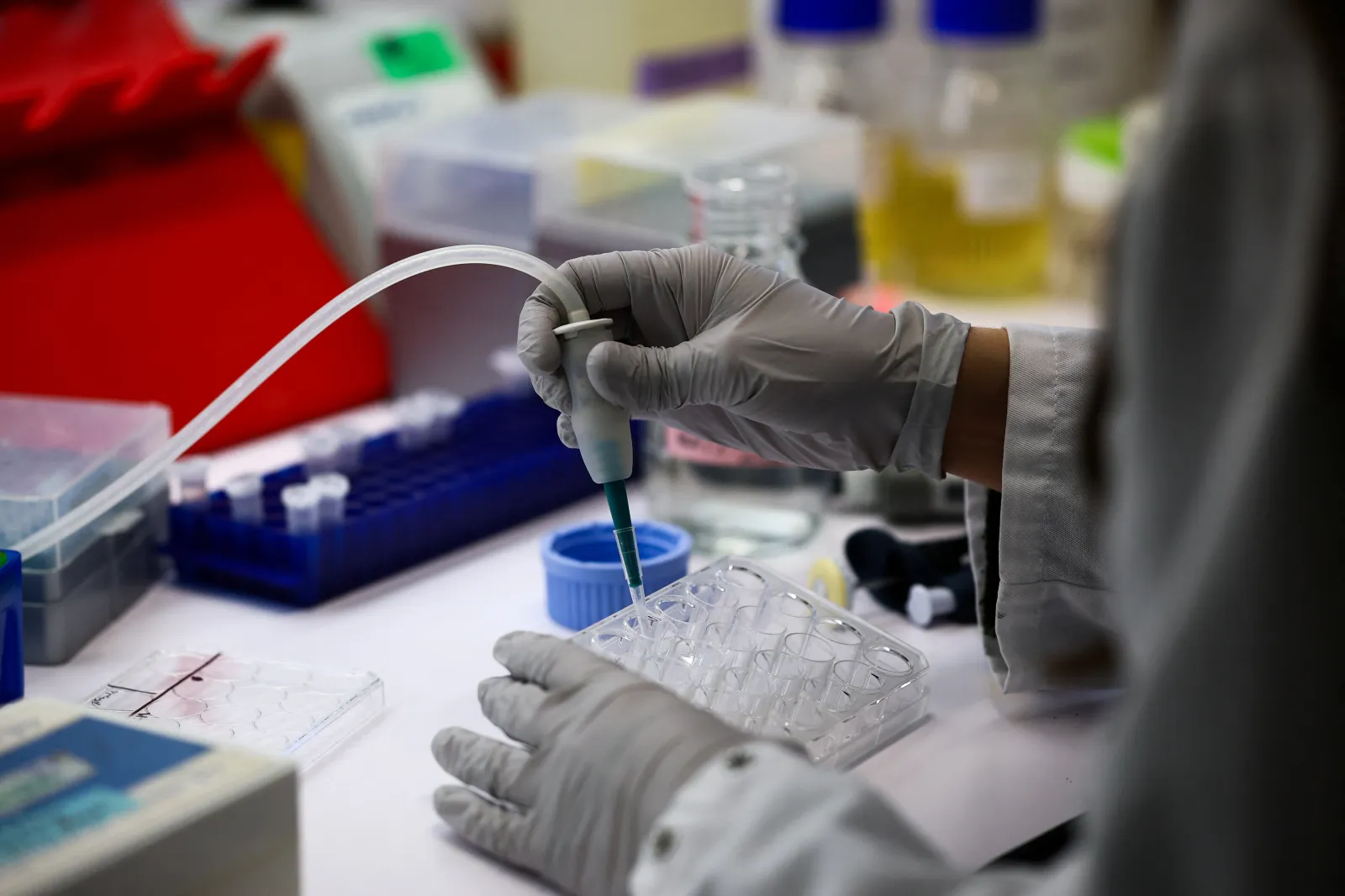 A researcher studying avian influenza at the Institut Pasteur in Paris, November 2025